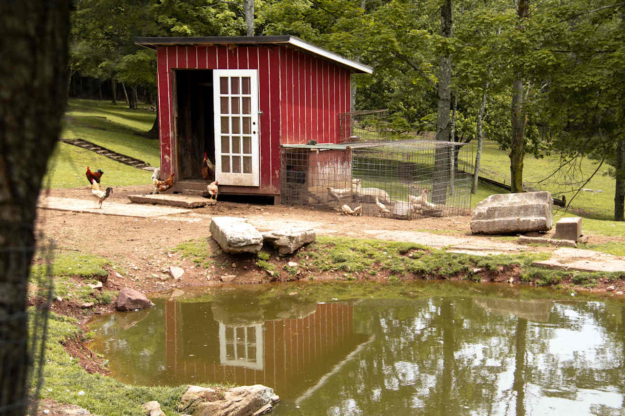 A section of the farm area. 