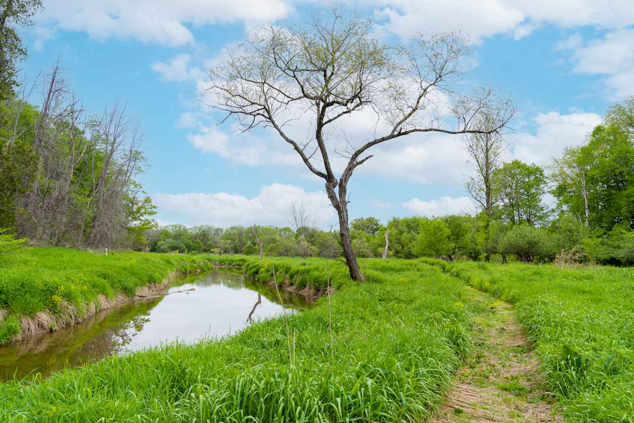 Hopkins Creek and the walking trail.