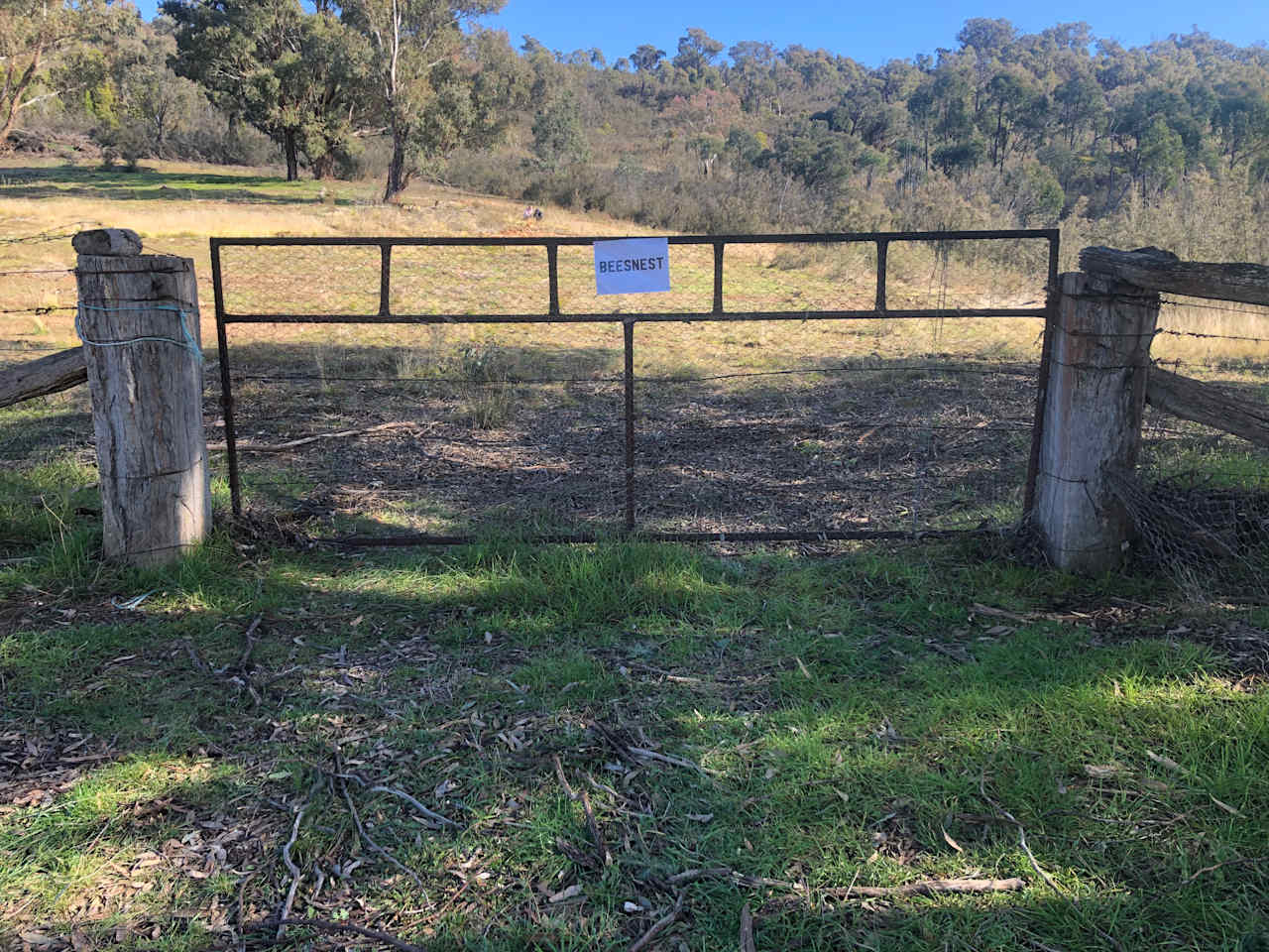 Peelwood Native Bush Campsite