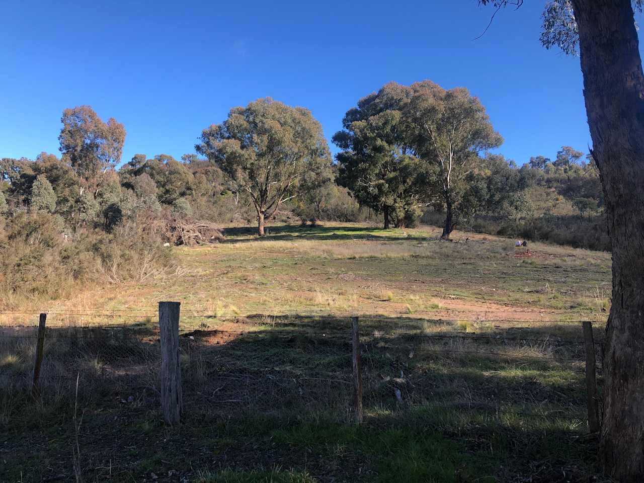 Peelwood Native Bush Campsite