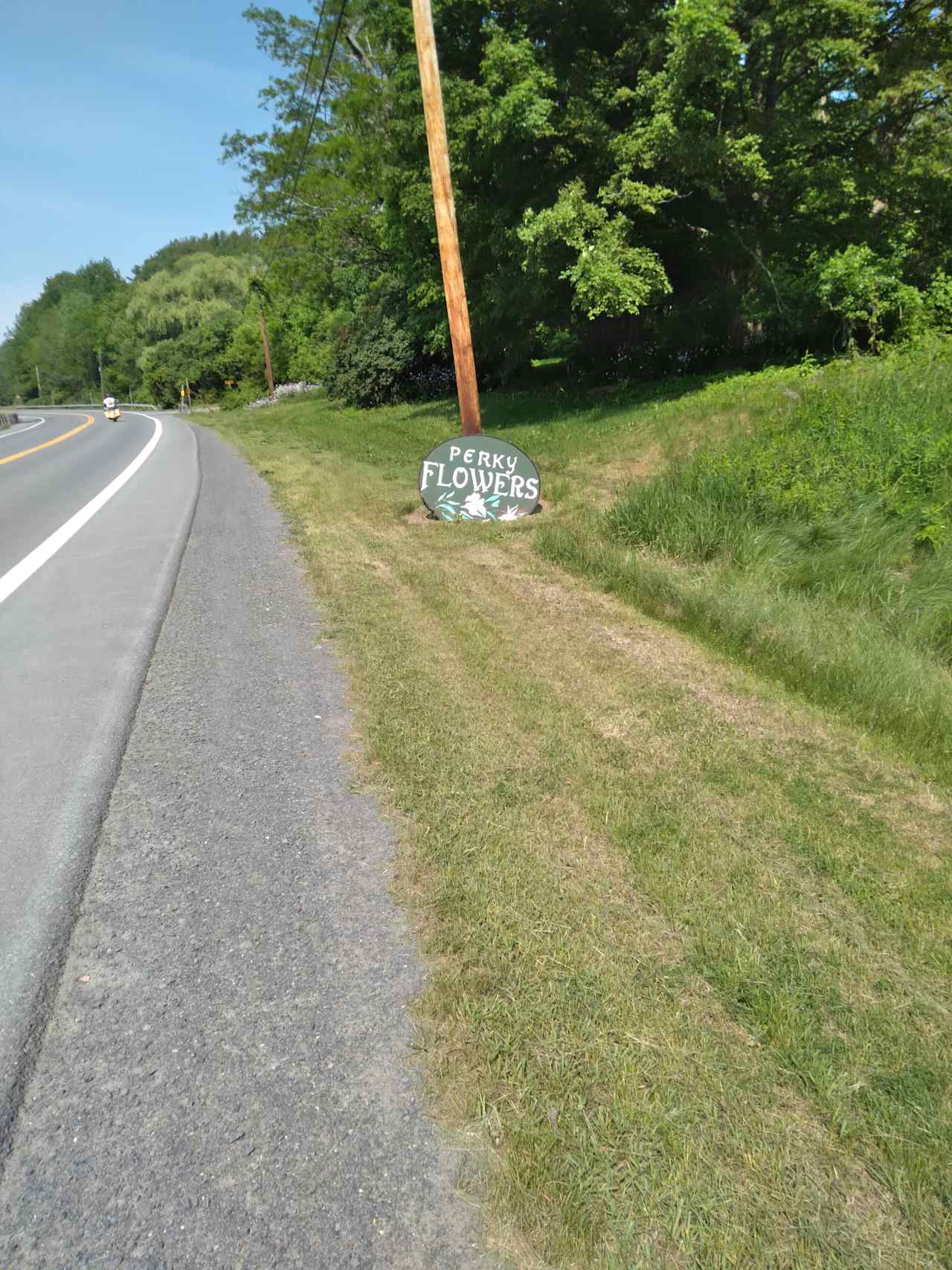 Locust Hall Campsite