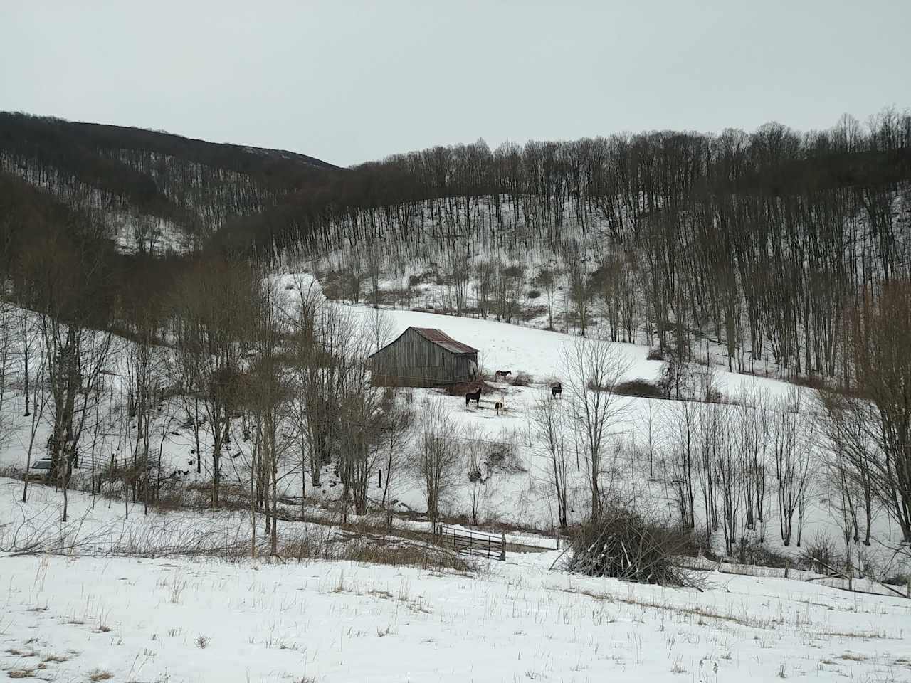 Head of the Creek Ranch