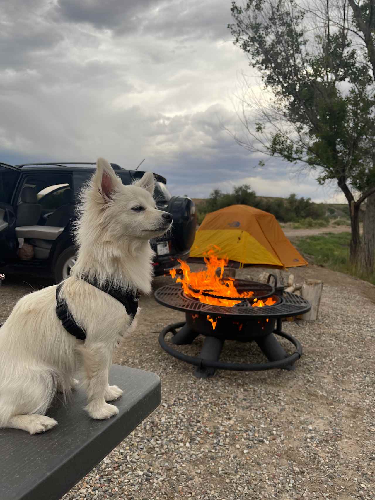 Lakeside Camping, Water Time :)