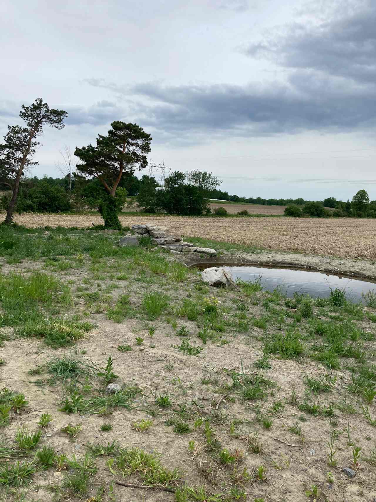 Site available Overlooking fields and small pond ( being developed)