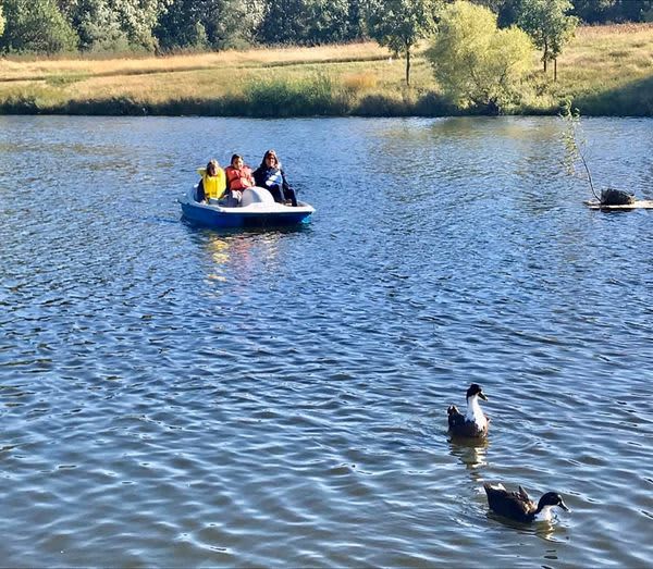 Mulberry Pond's Shady RV Sites