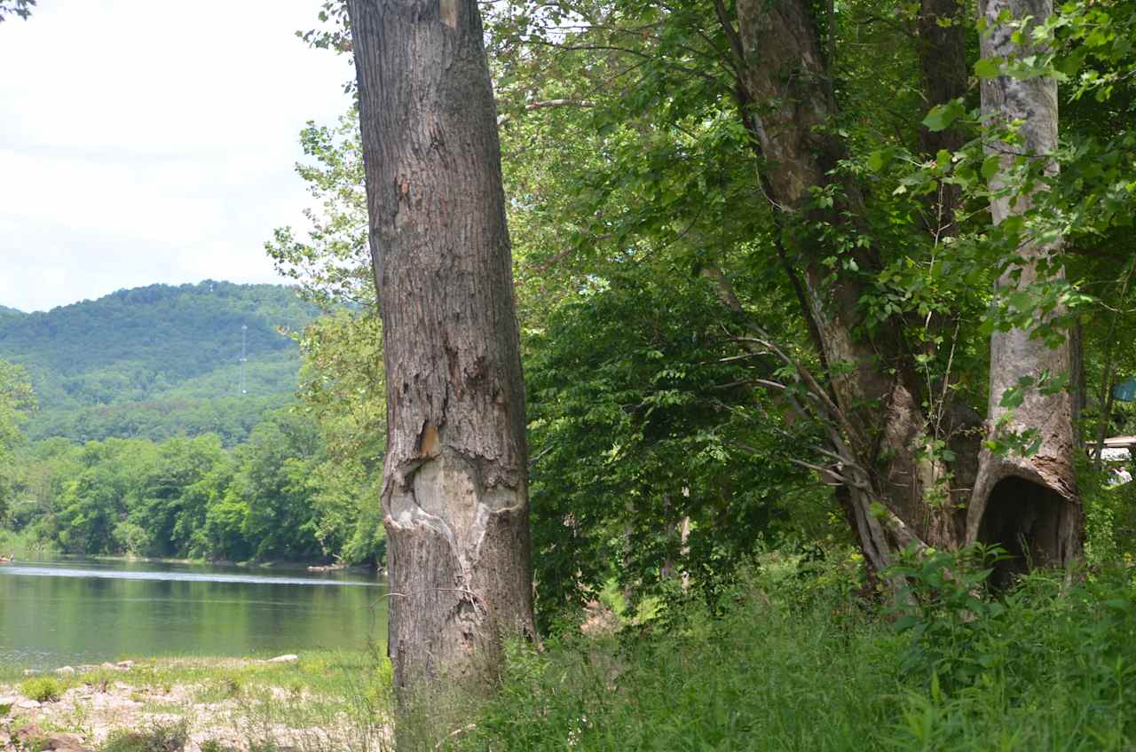 This is the view downriver from campsite #2.