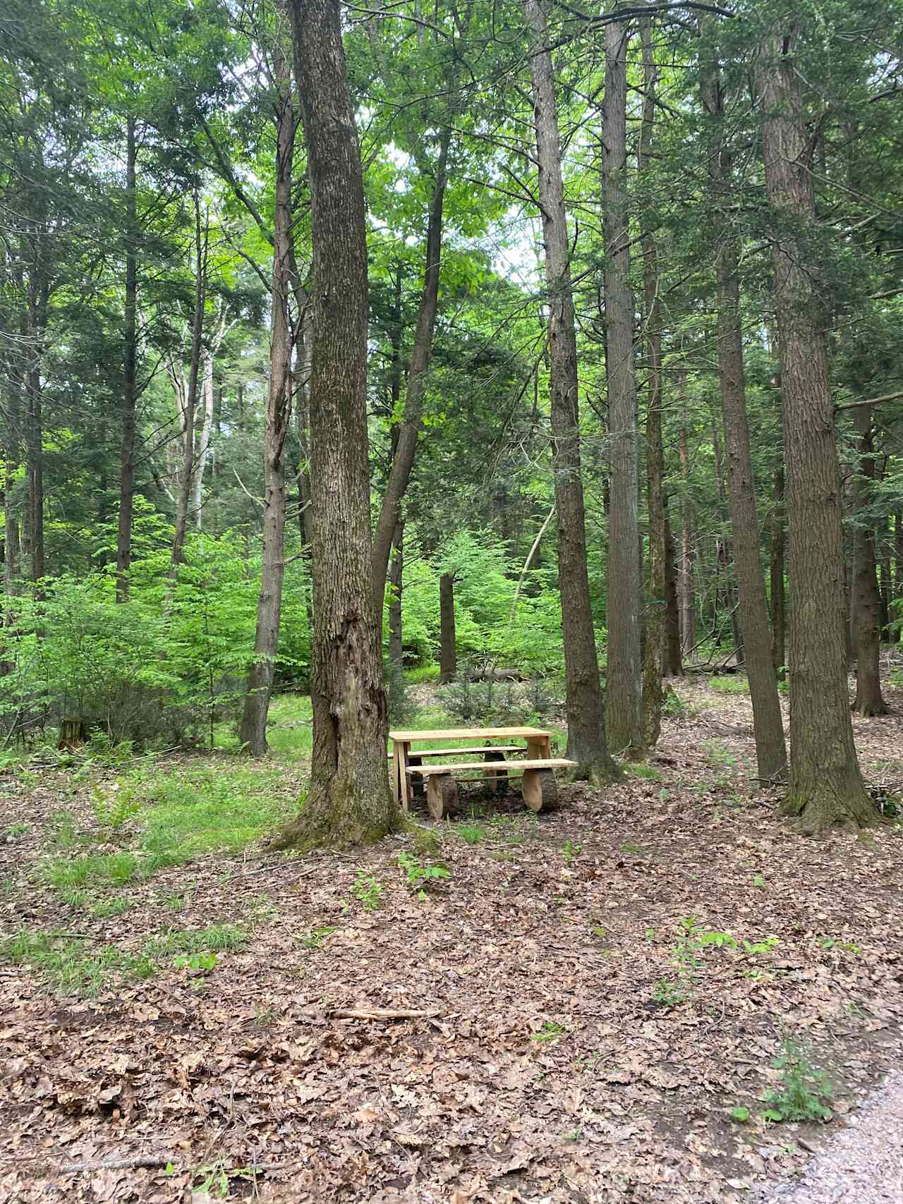 Sleepy Hollow Campground