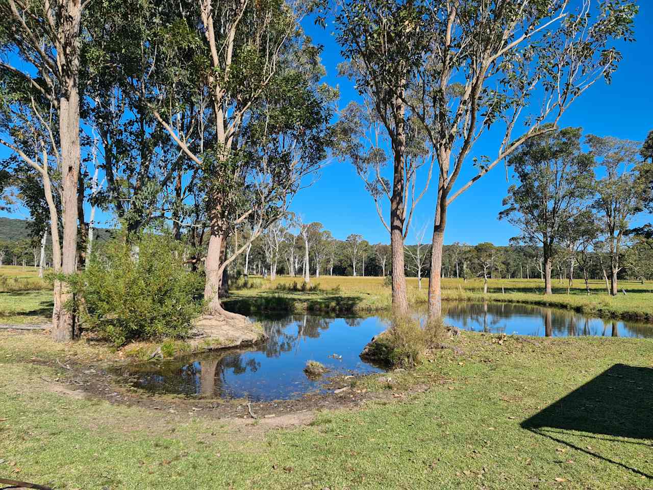 Camping @ Emerald Park Equine