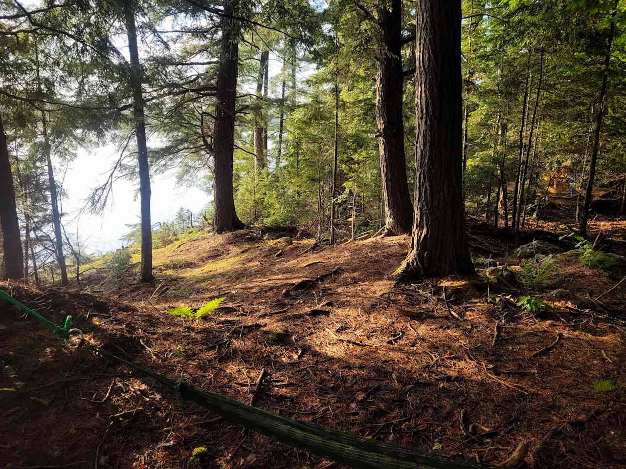 A path to the lake.