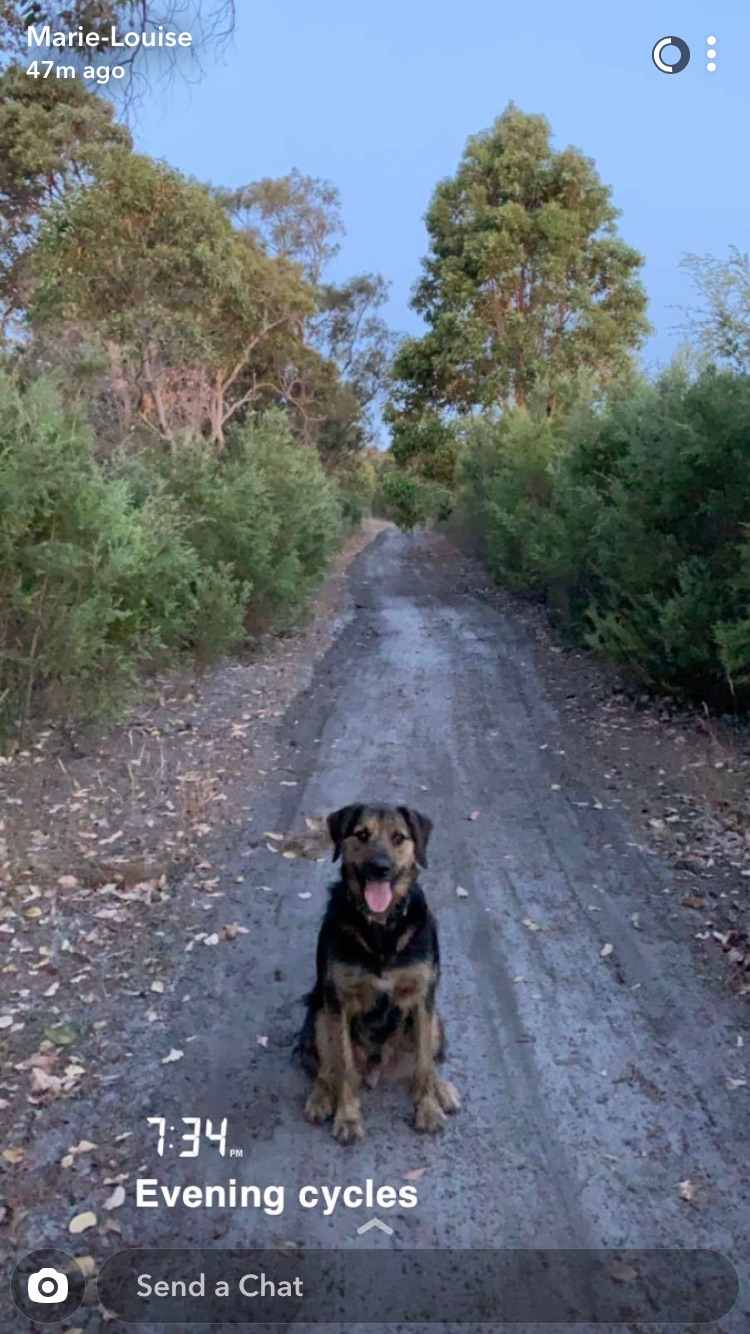 South West Central Bush Block