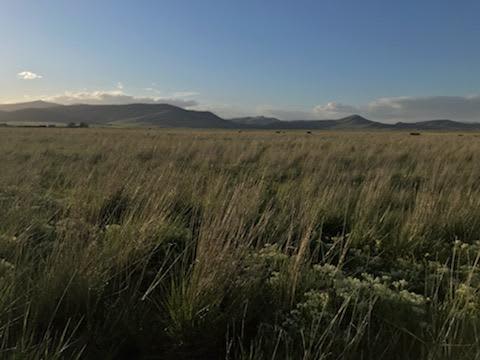 Beautiful fields and surround foothills