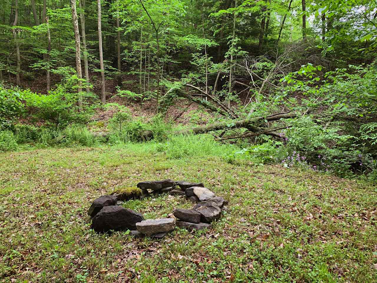 Our mossy stone fire ring was built from rocks straight out of the creek!