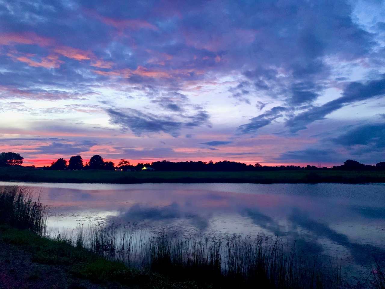 Sherfick Farms