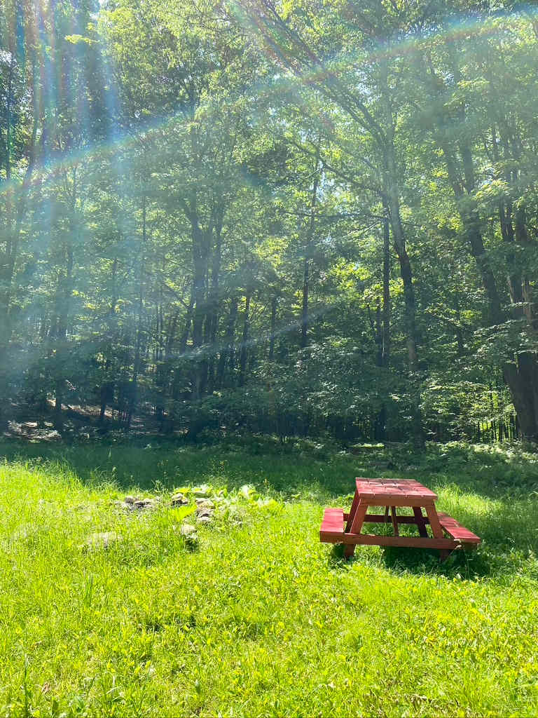 Red Fox Meadow Campsite