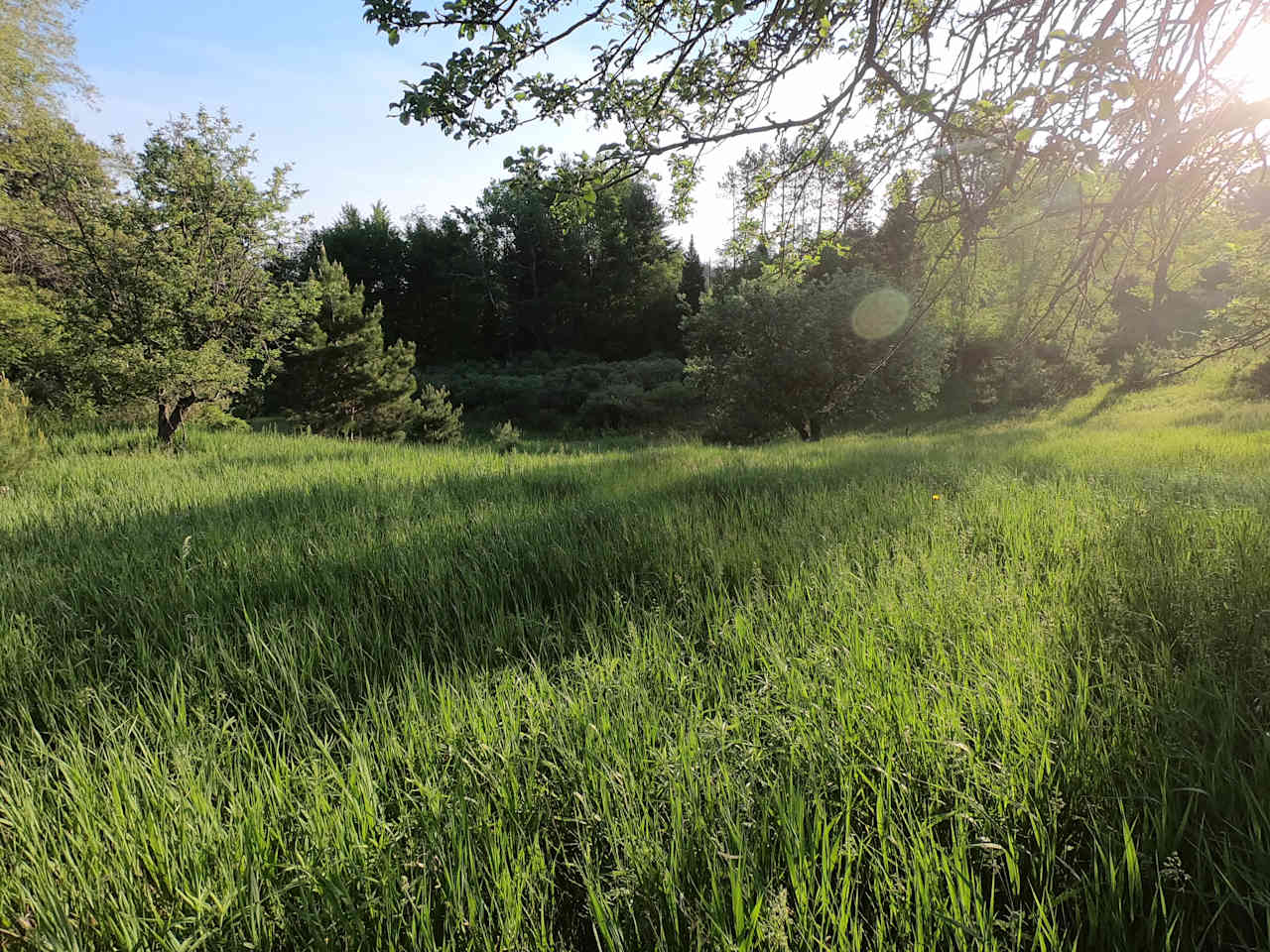 rolling pastures farm camp