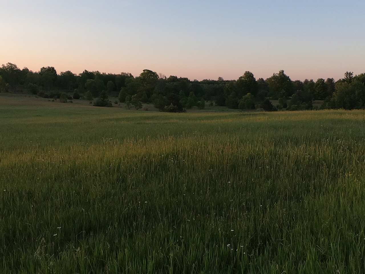 rolling pastures farm camp