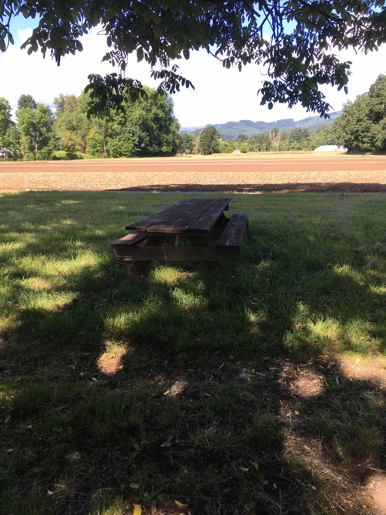 fields surrounded by mountains