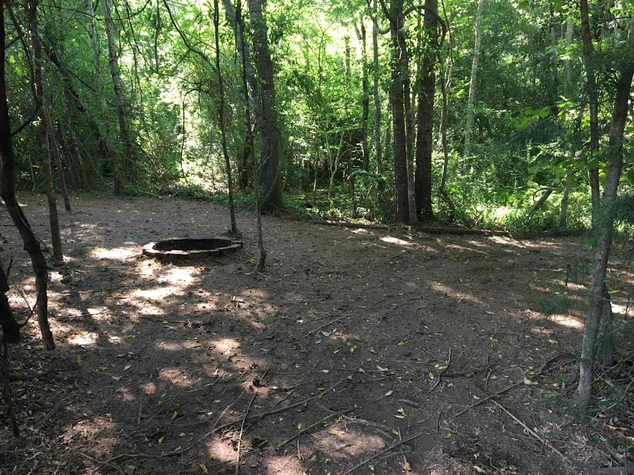 Site 2: Easy access with super short walk in. Park within yards of your campsite. Path to creek.