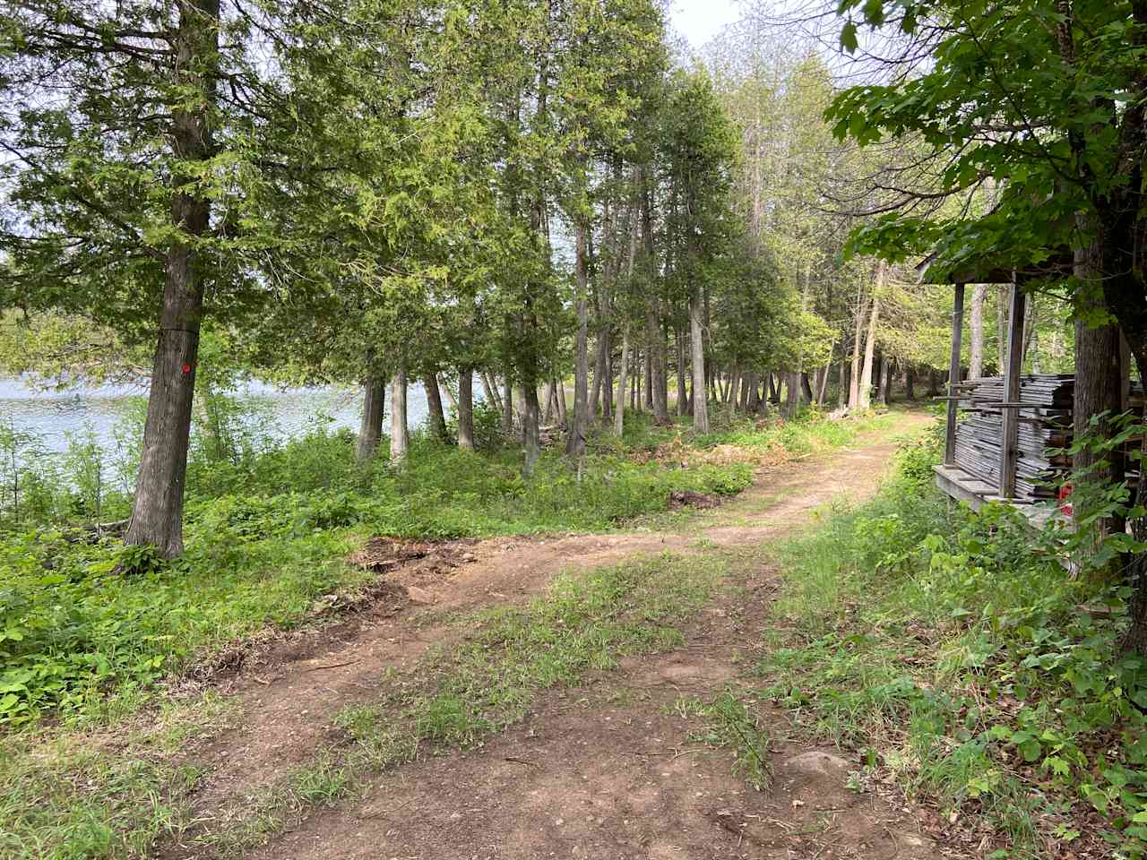 River laneway.
Great spot for tents or a small camper trailer as the ground is level.
This is located 1Km from the main entrance.