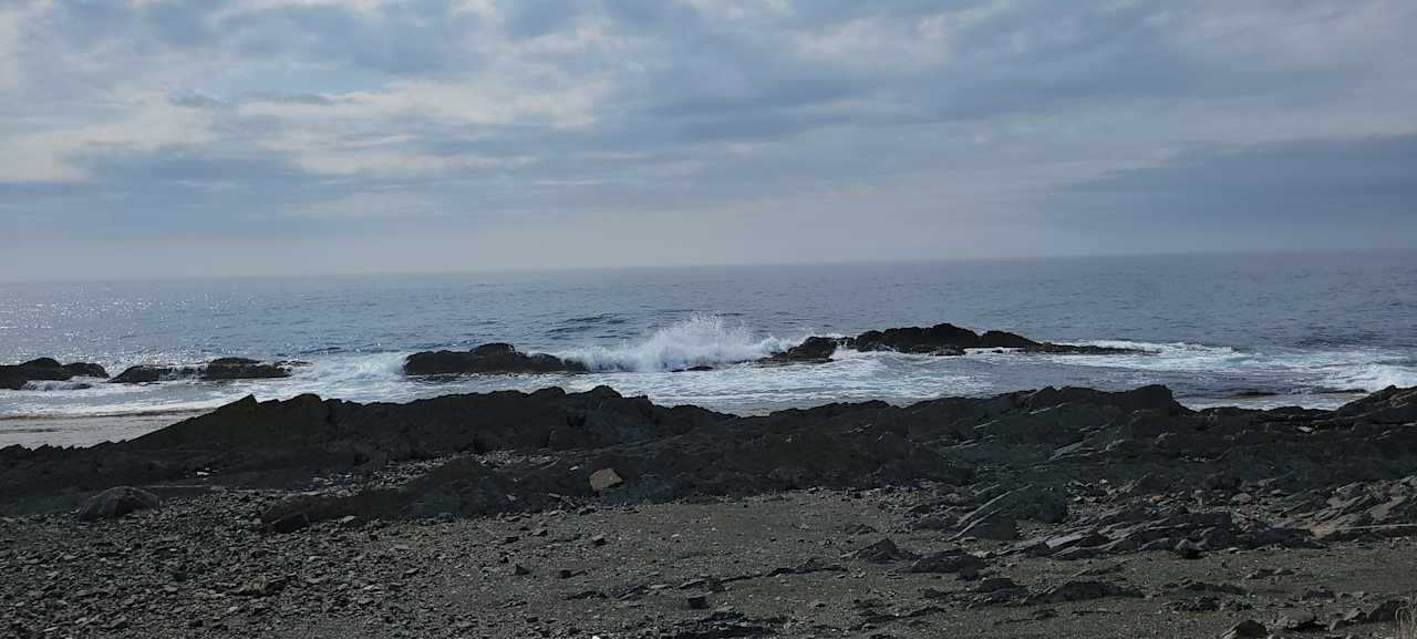 Scenic Ocean View and Horses