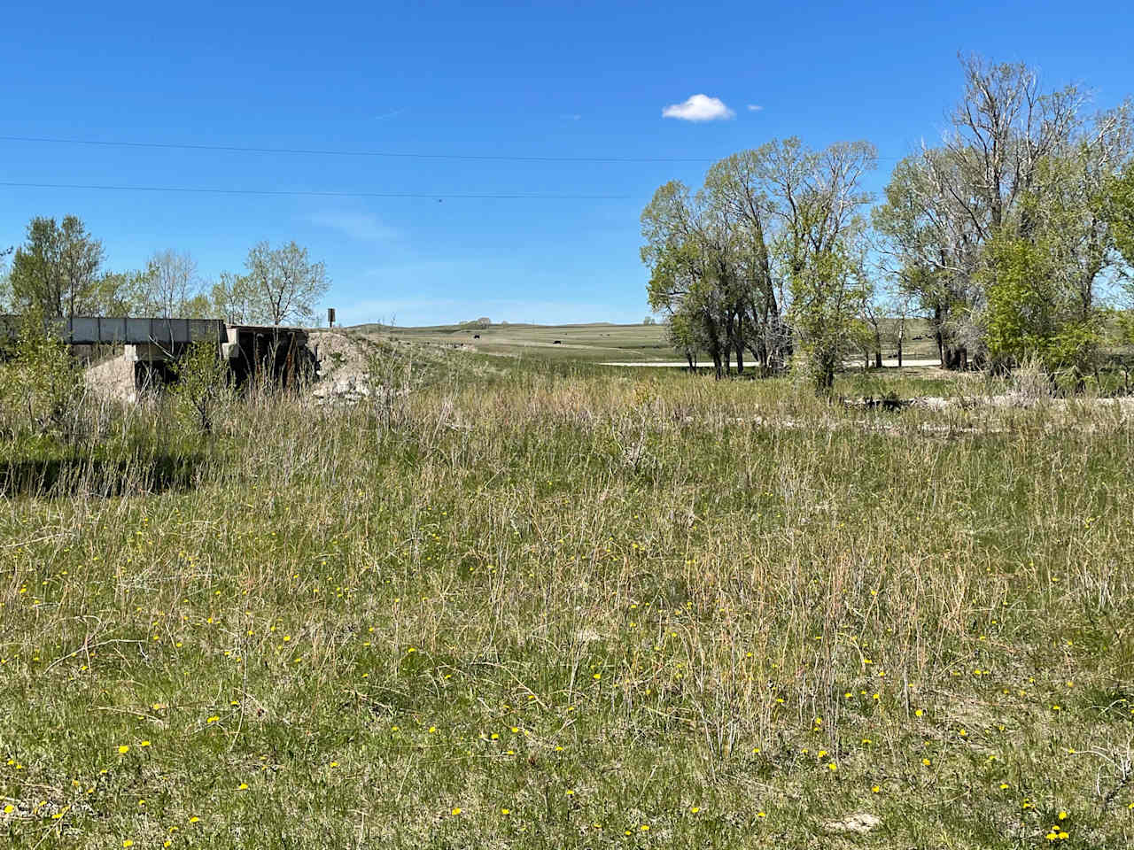 Birch Creek Wildlife Reserve