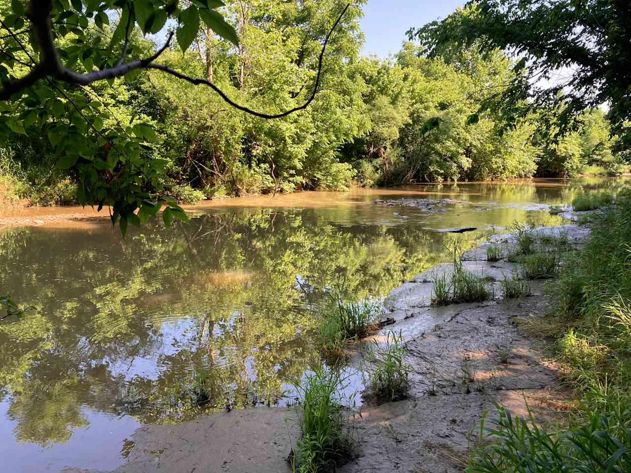 Canaan Land Farm