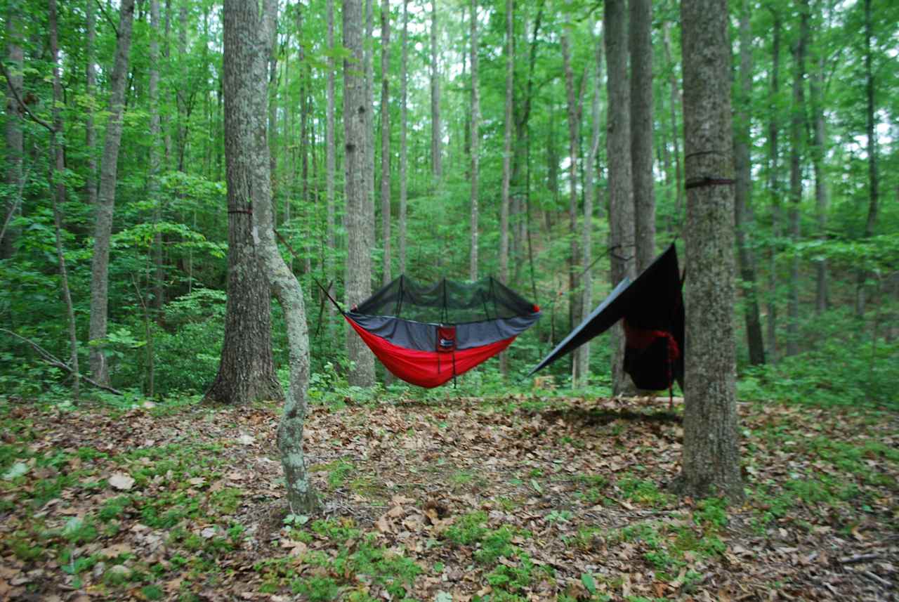 Hammock site