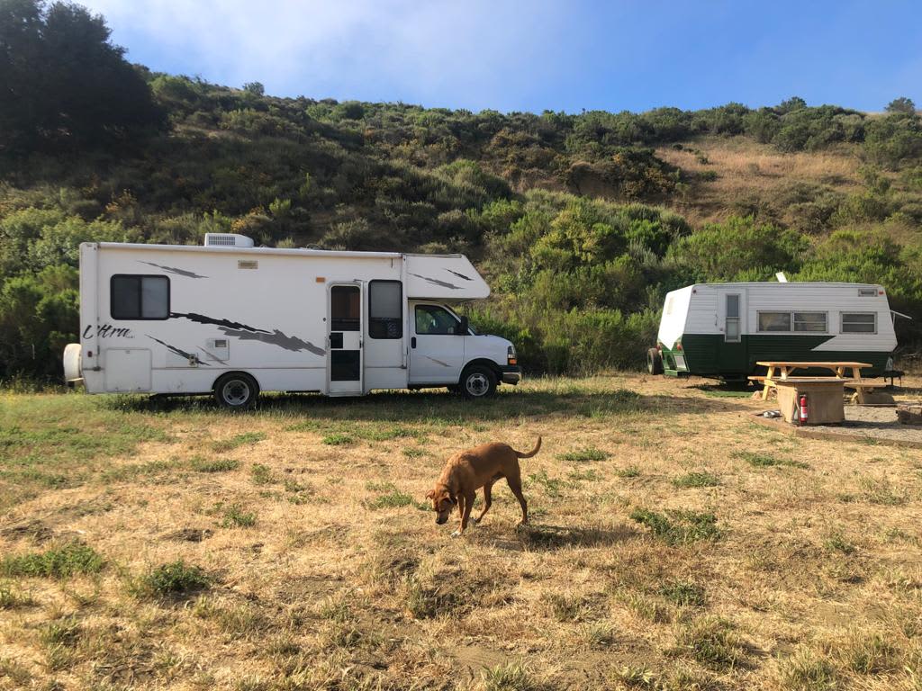 Freedog Farms @ Cactus Flower Ranch