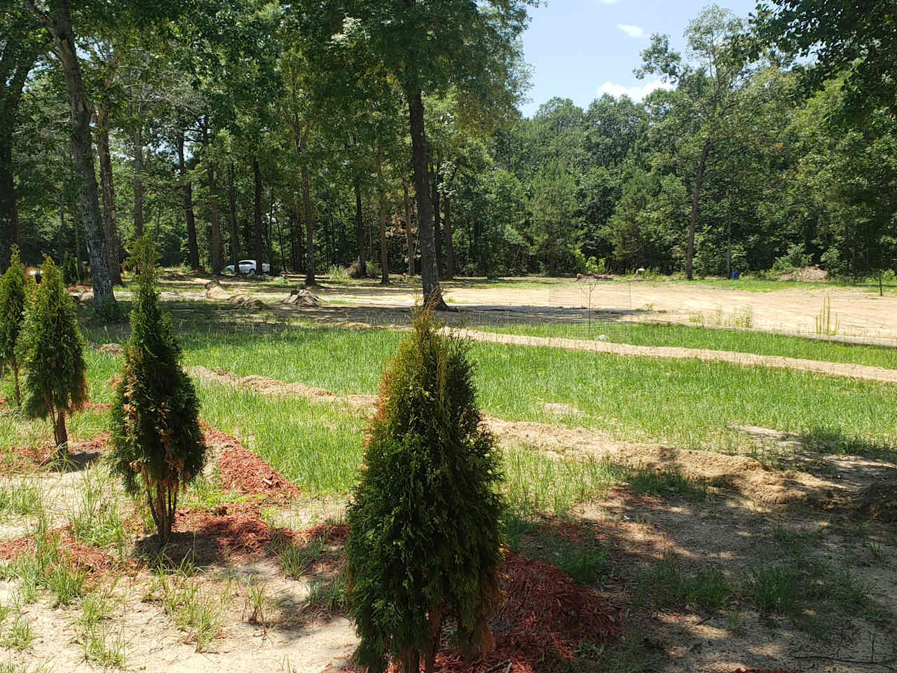 The Goodson Forest Estate
