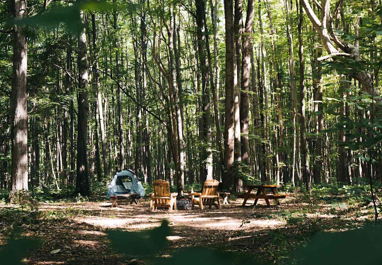 Site 1 boasts a large, cleared area to spread out in.