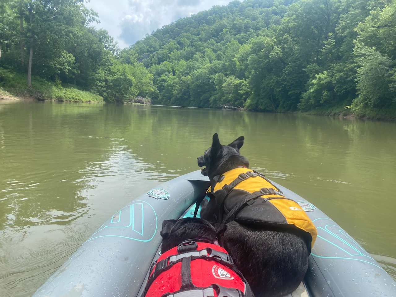 Our boat ride down the Ouachita river.