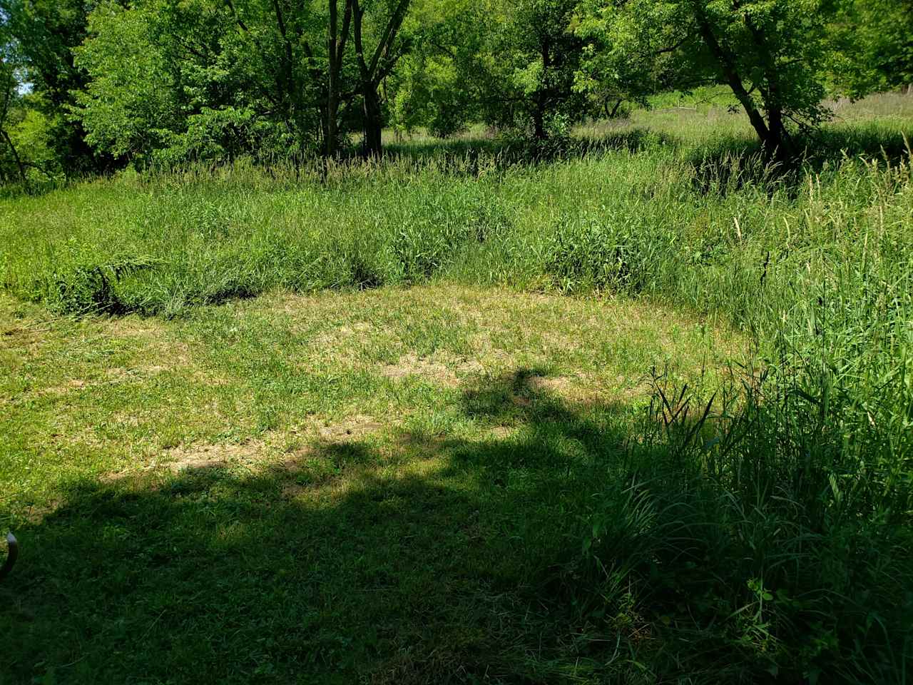 Creekside field campsite