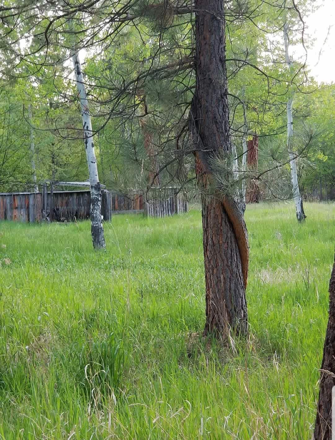 God's Country Camping