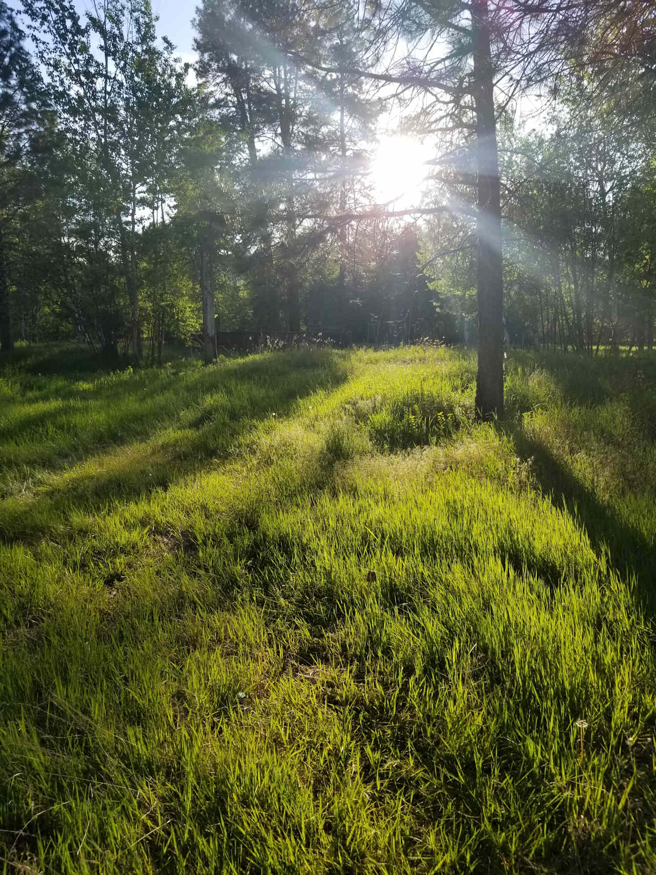 God's Country Camping