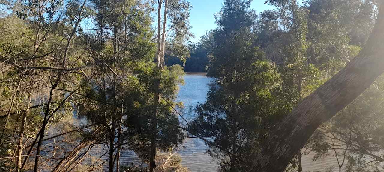 The Bungawalbin Creek from Riverbank Camp site 4