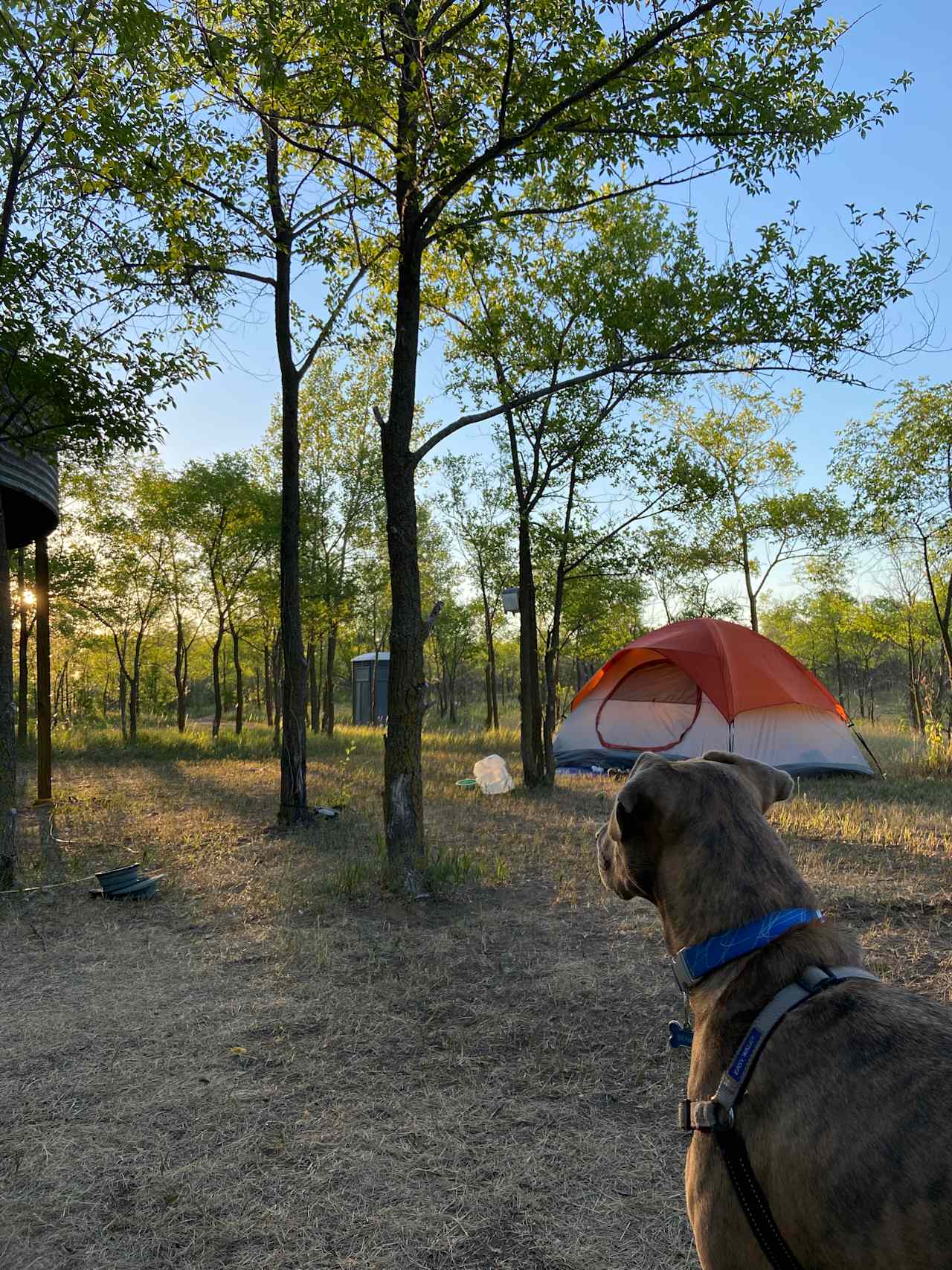 Rusty Star Ranch Riverview