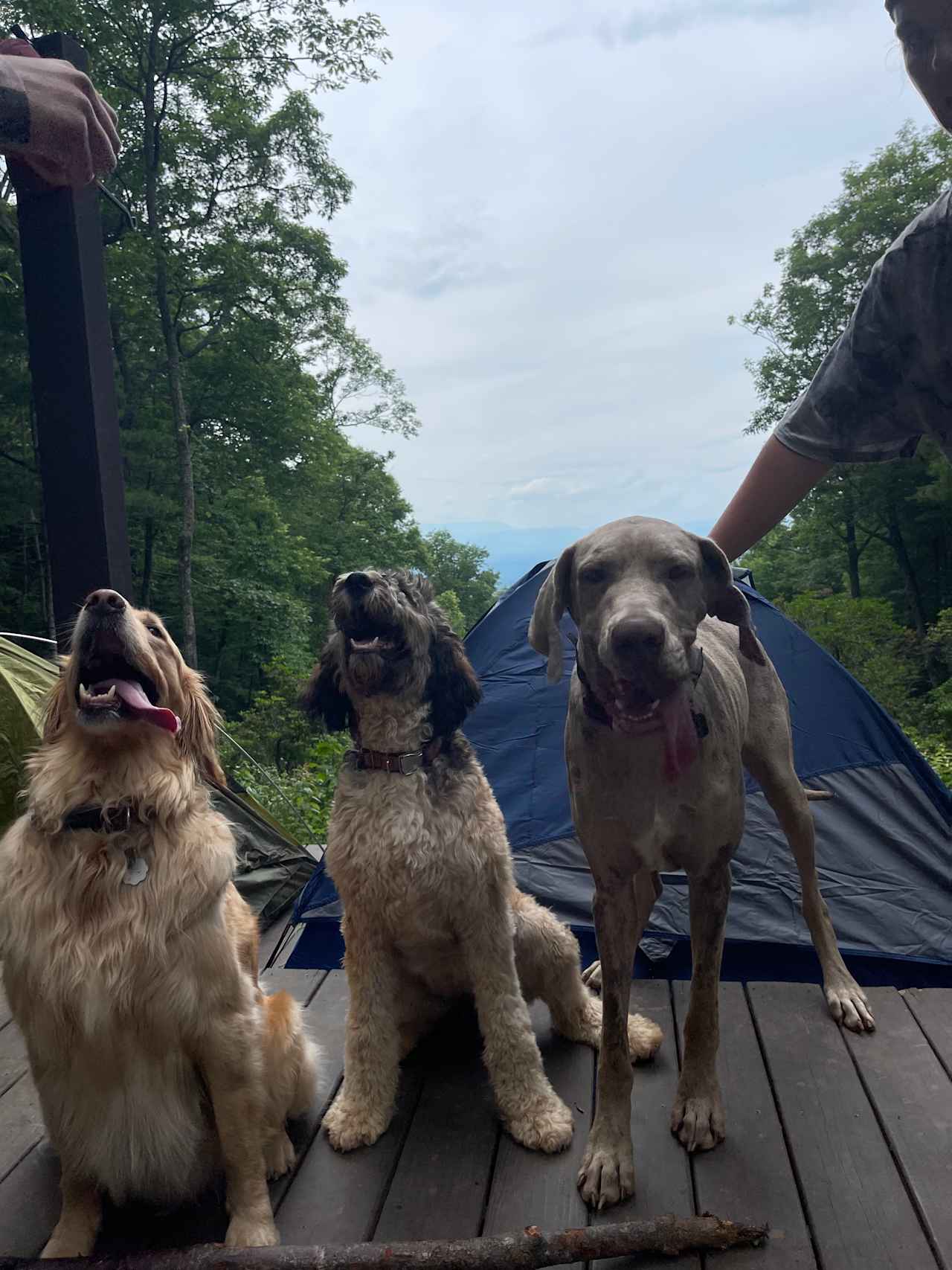 Remote Mountain Camping Platform