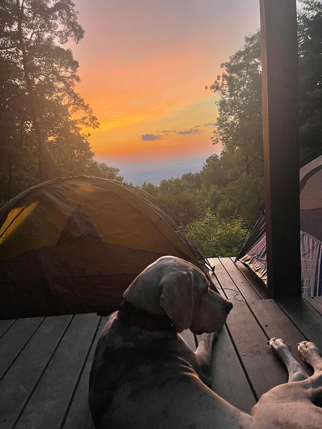 Remote Mountain Camping Platform