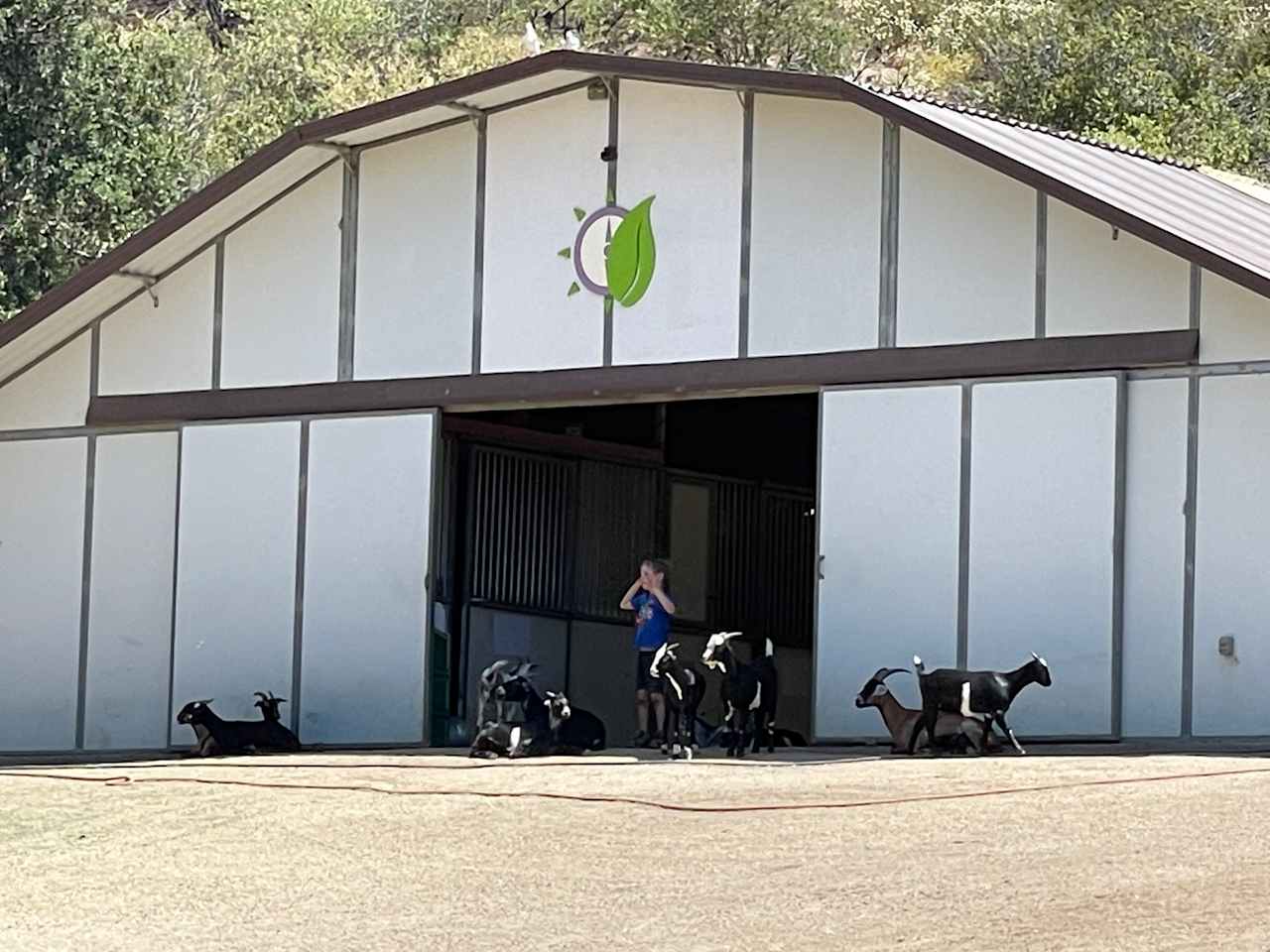 Our son is one with the goats