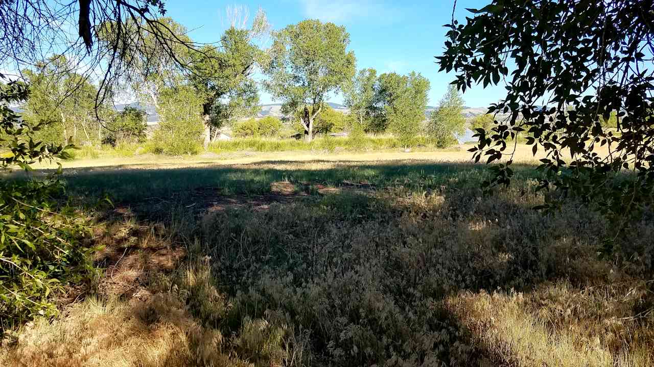 I'm standing in the site, looking east, in the late afternoon.