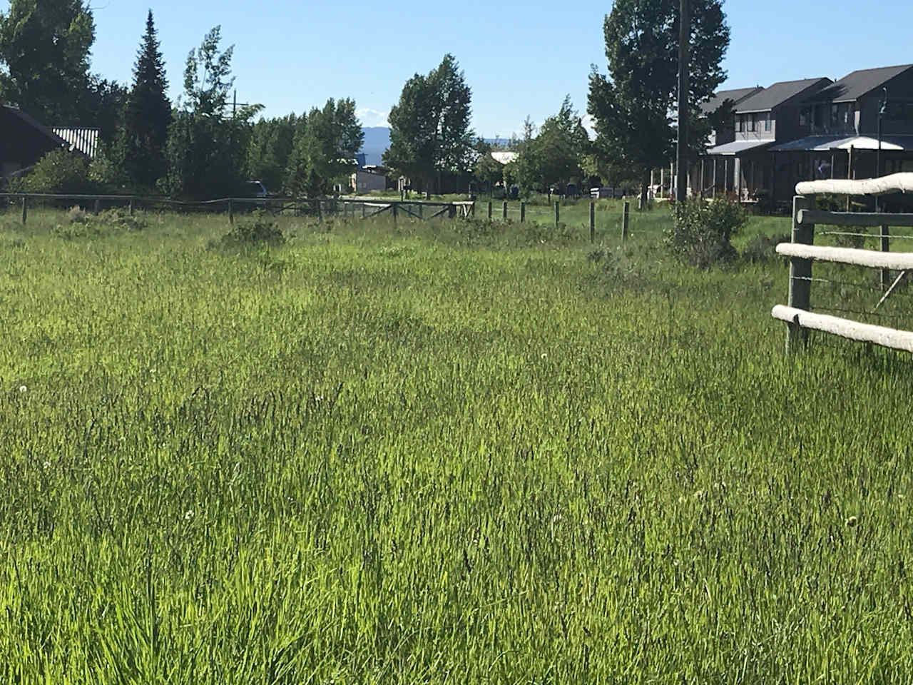 looking northwest of your campsite.
The adjoining property owner also has a campsite, so you could have one other camper on the property.  Their site is a back in site...Ours is a pull through right next to the fenced off trees and picnic table.