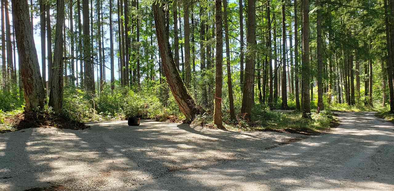 Access drive to campsite