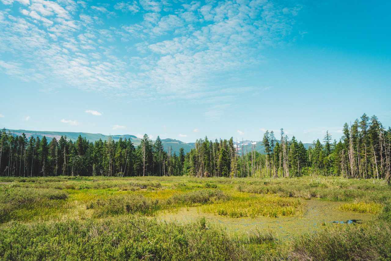 The view of Dudley Marsh from the lookout tower, just two minutes or so walk from the property. 