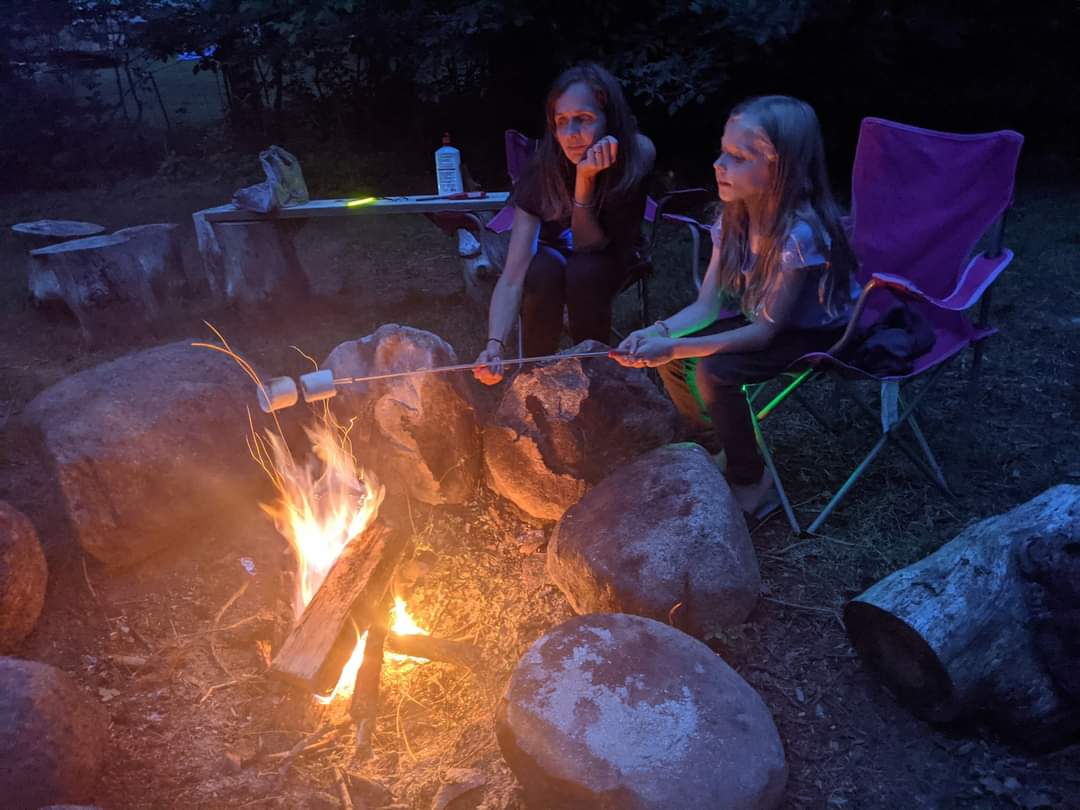 Big Tree Camping