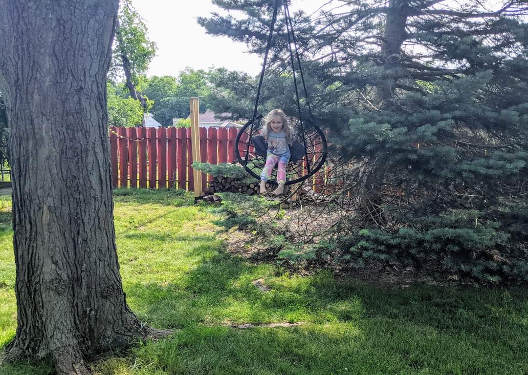 Big Tree Camping