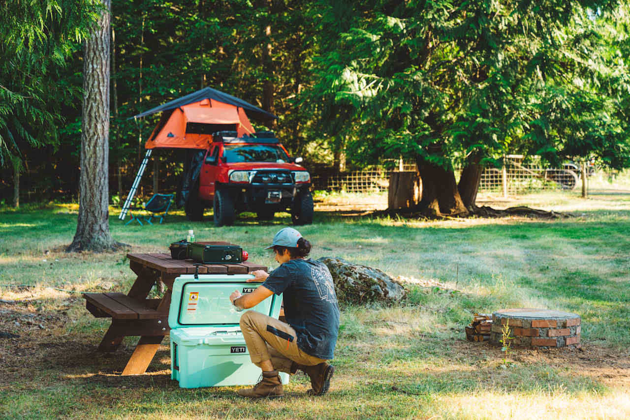 My site near the donkeys with provided picnic table and firepit in view.