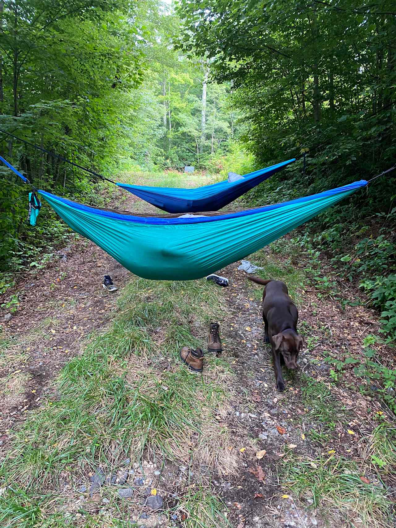 Lil Snowbird Farm Primitive Camping