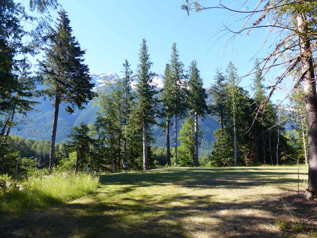 Main cleared area for camping atop high bench overlooking the Bella Coola River.