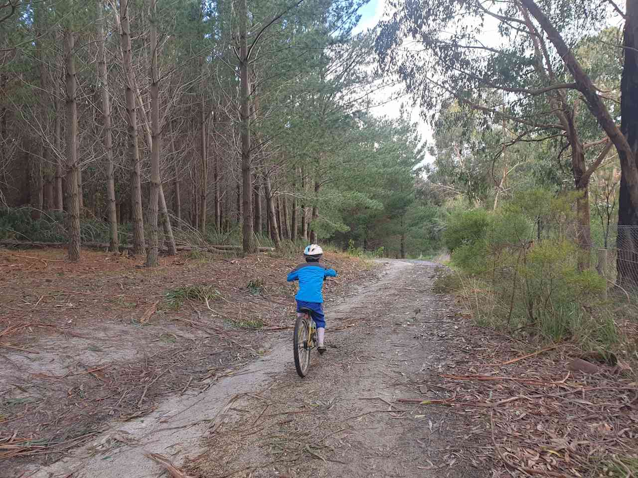 Many kilometres of incredible up and down mountain biking opportunities