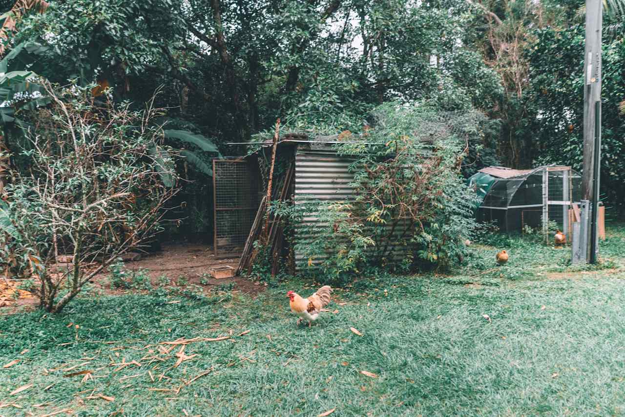 Chicken coup on the left as you enter the property